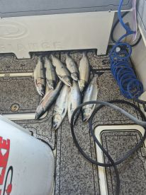 Fishing with Mathew