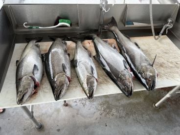 Half day trip with Captain Ethan 