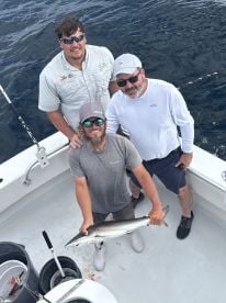Great 8hr Trip