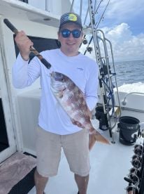 Great 8hr Trip