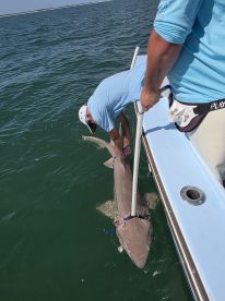Great day on the water!