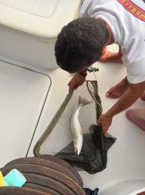 Best fishing boatride in Lisbon 