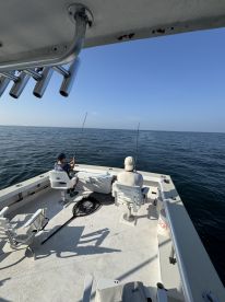 Perfect half day trip!