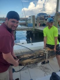 Great Cobia Trip