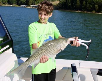 May-August Morning half days