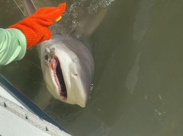 Family Fishing Trip