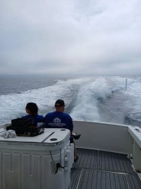 Hundreds of Blue