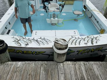 Excellent last minute near shore fishing