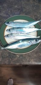 It was a awesome trip!