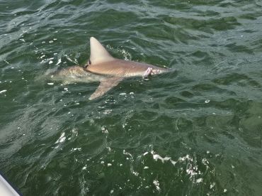 13th Birthday Fishing Trip
