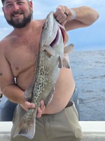 Lotta fish!