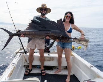 Sailfish!
