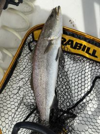 Fishing with Donnie