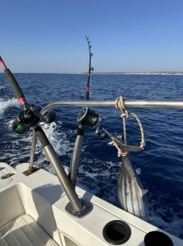 Great Fishing Trip