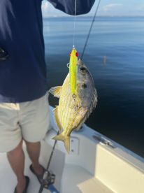 Slow day in August but fun