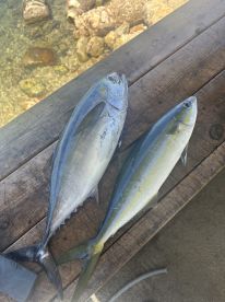 Fishing with Tom