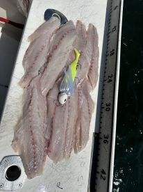 Great day in Boston harbor!