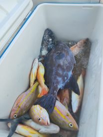 Great fishing trip