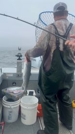 Caught some dinner 