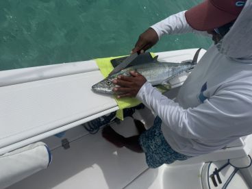 One of the best charters in Panama 