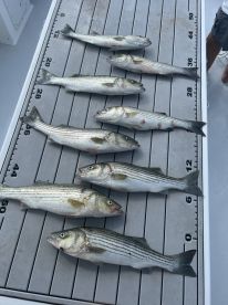 Great trip on a hot afternoon 