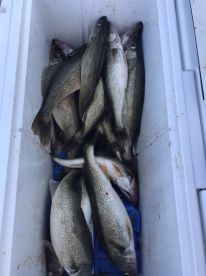 Capt Frank Sherry delivers!!!