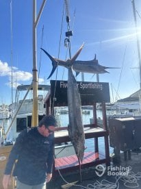 Five start fishing 
