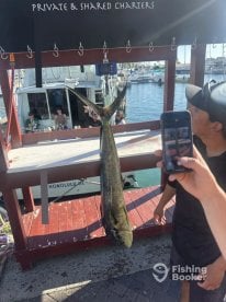 Five start fishing 