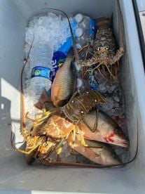 Awesome day in the water 
