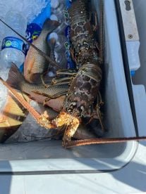 Awesome day in the water 