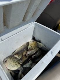 Charles put us on the fish