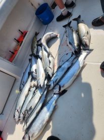 Fishing made EASY and fun !