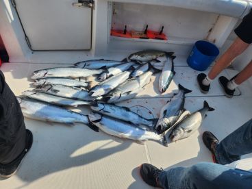 Fishing made EASY and fun !