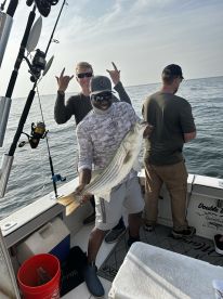 $1600 - 0 fish 