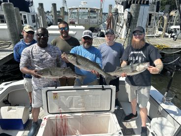 $1600 - 0 fish 