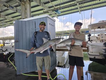 Great fun, caught lots of Sharks.
