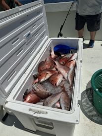 Fishing trip!!