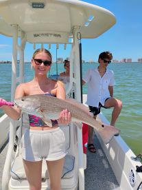 Hammered the Fish! 