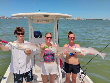 Hammered the Fish! 