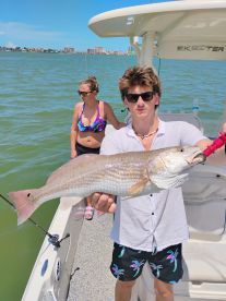 Hammered the Fish! 