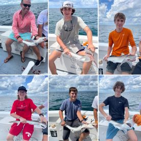 16th Birthday Shark Trip