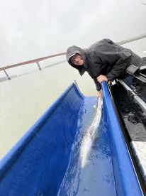 High energy fishing! Great Captan!!