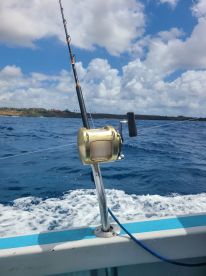 A Wild, Wavy, and Wonderful Day with Captain Jeff and Expert First Mate Joe!