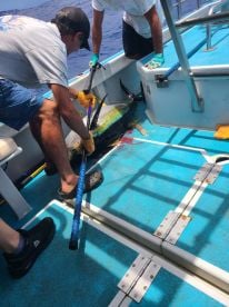 A Wild, Wavy, and Wonderful Day with Captain Jeff and Expert First Mate Joe!