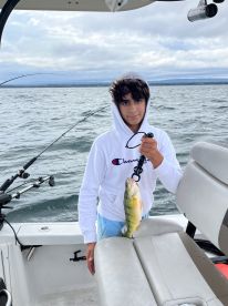 Fantastic experience even in choppy conditions