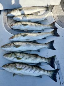 Great Day Out On The Water