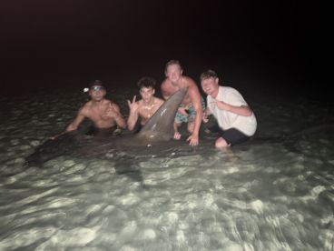 Massive 15ft hammerhead on a 4 hour trip
