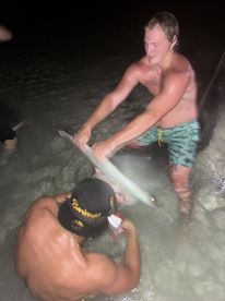 Massive 15ft hammerhead on a 4 hour trip