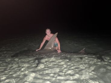 Massive 15ft hammerhead on a 4 hour trip