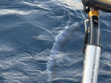 Mehr als alle W\u00fcnsche erf\u00fcllt\ud83d\udc4d